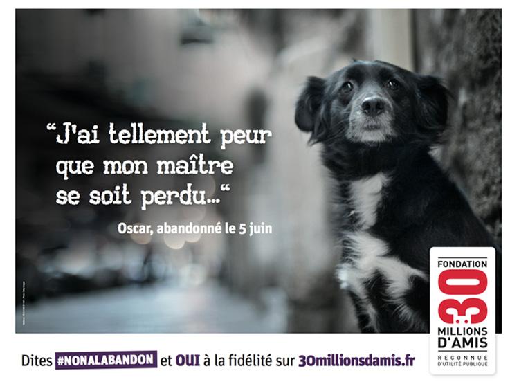 La Fondation 30 millions d'amis lance sa campagne d'été