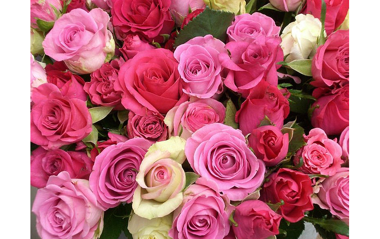 Avec Au Nom de la rose, arrondissez votre facture pour une association