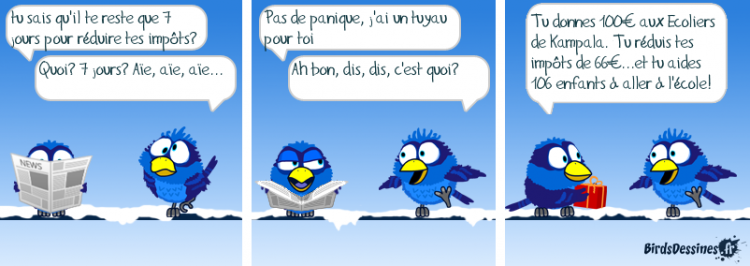 Plus que 8 jours avant le 31 décembre, faites comme les birds!