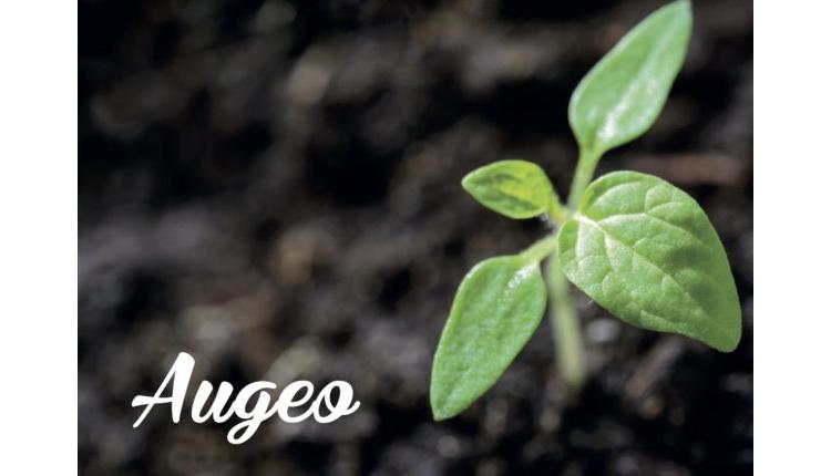 Augeo accompagne les projets de développement