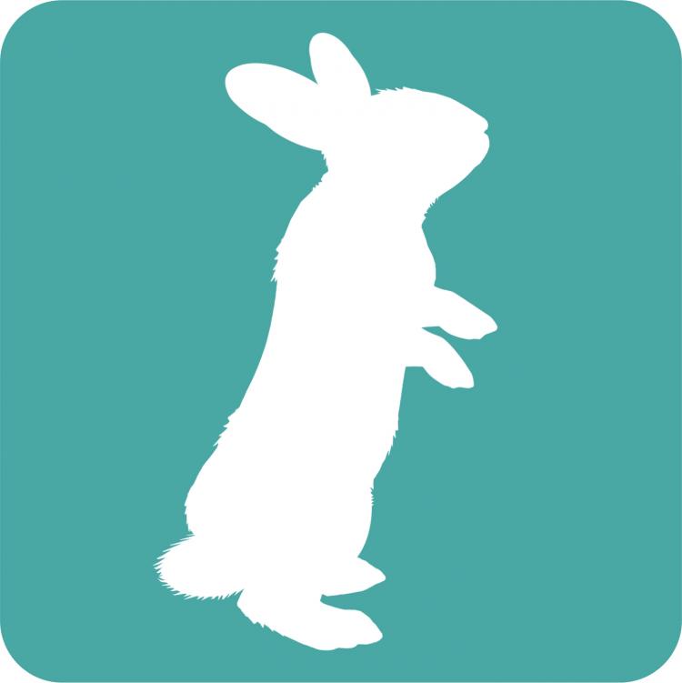 Bienvenue à White Rabbit