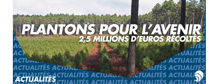 Plantons pour l'avenir engage les entreprises pour le reboisement des forêts