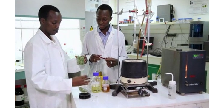 Des étudiants africains inventent un savon contre le paludisme