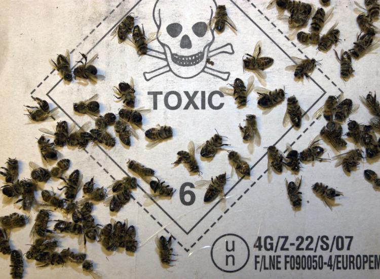 STOP aux PESTICIDES sur toutes les zones non agricoles !