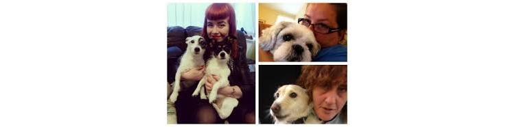 1 million d'euros pour les chiens à Manchester