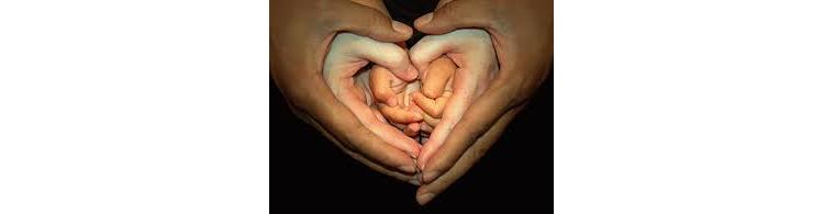 En savoir plus sur le CARE !