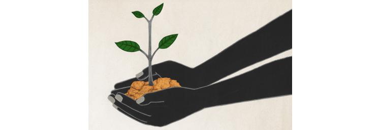 YANN ARTHUS-BERTRAND INVITE SEED FOUNDATION LE 10-11 JUIN