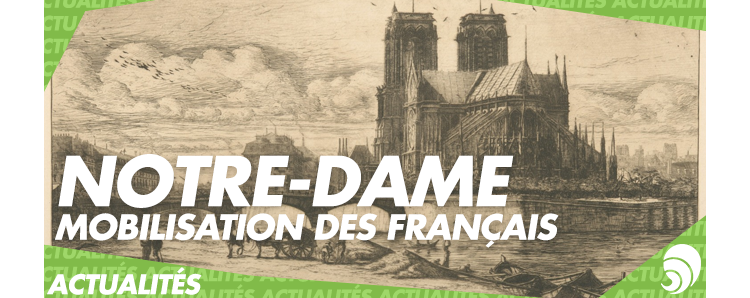 Notre-Dame : des dons exceptionnels pour rebâtir la cathédrale