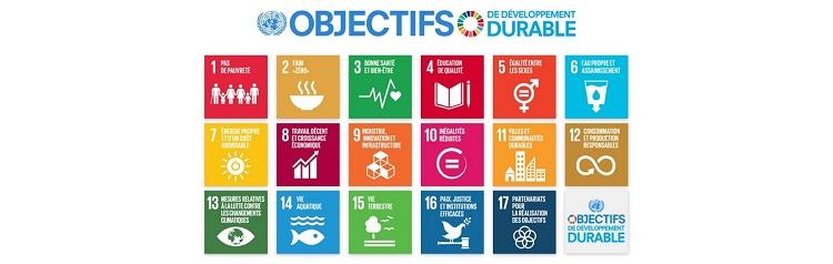 Webinaire Objectifs du Développement Durable et entreprises #4