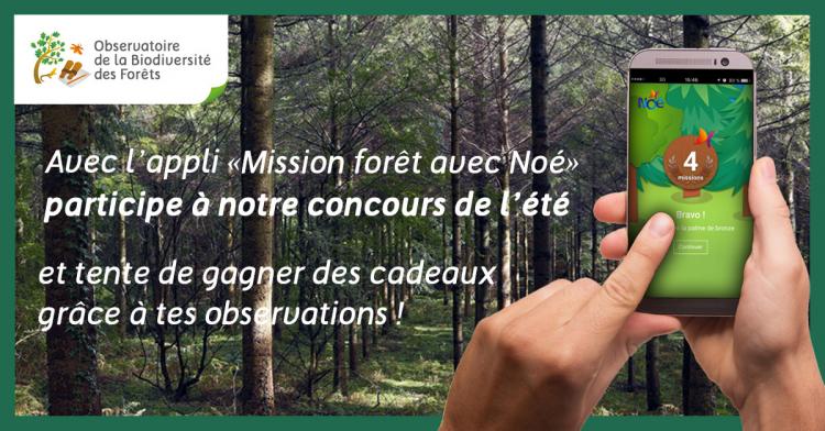 Concours de l’Observatoire de la biodiversité des Forêts !