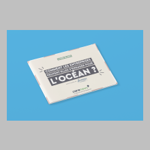 Livre blanc Carenews « Comment les entreprises peuvent-elles s'engager pour l'océan ? »