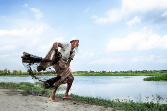 Dérèglement climatique et alimentation : quels liens ? Quels leviers d'action ?
