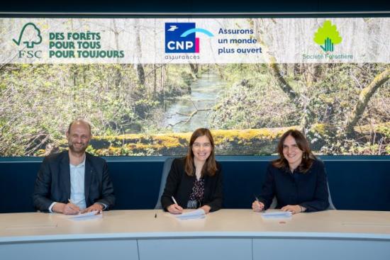 CNP Assurances s’engage à certifier FSC 100% de ses massifs forestiers à horizon 2030. Crédit : CNP Assurances