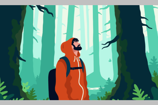 visuel d'un randonneur dans une forêt