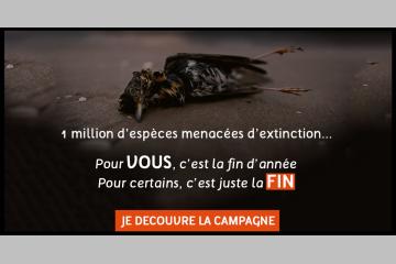 "Fin d'année" et "Fin de la biodiversité" en scène dans la campagne de collecte de l'association Noé