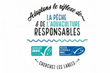 Les ONG Marine Stewardship Council (MSC) et Aquaculture Stewardship Council (ASC) s’associent pour inciter à l’action en faveur d'une consommation plus responsable