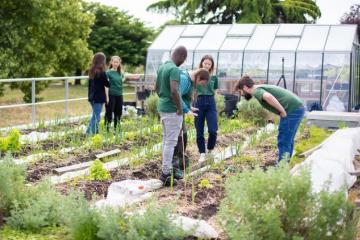 Une recherche-action pour combler les lacunes de connaissances sur la biodiversité des toits végétalisés. / Crédit photo : Gilles Arbwick 