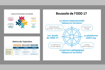 L'innovation territoriale au cœur des Transitions