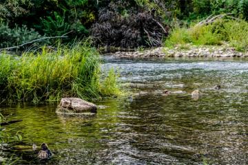 Mission Environnement 2024 : 5 projets gagnants pour la biodiversité. Crédit photo : Pascal Henin / iStock.