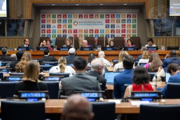 (c) United Nations Photo
