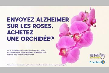 envoyez Alzheimer sur les roses en achetant une orchidée