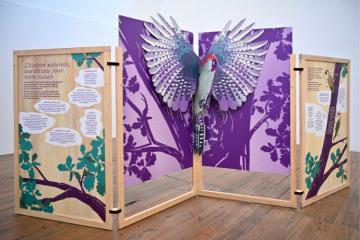 Les Pop'up de l'Histoire naturelle, un mini Muséum à votre rencontre. Crédit photo : MNHN - Jean-Christophe Domenech.
