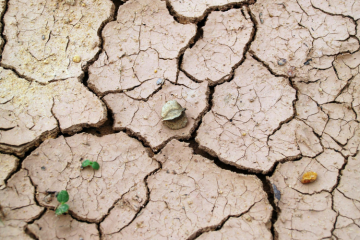 La COP 16 sur la désertification se tient jusqu'au 12 décembre en Arabie Saoudite. Crédit : Pexels.