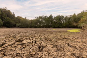 La COP 16 désertification s'est clôturée le 14 décembre à Riyad en Arabie saoudite. Les associations environnementales réagissent. Crédit : iStock 