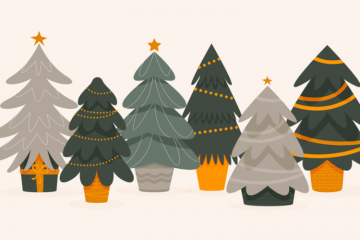 La location de sapins de Noël en pot émerge en France au fil des années. Crédit : iStock