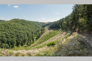 La Fondation VINCI Autoroutes soutient des projets en faveur de la biodiversité 