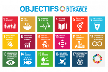 Le Pacte mondial de l’ONU présente ses 28 entreprises ambassadrices pour la période 2025-2026