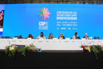 La Cop 16 a commencé à Cali (Colombie), du 21 octobre au 2 novembre 2024. Crédits : UN Biodiversity.