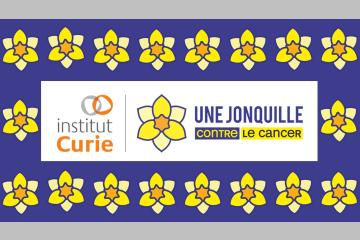 Une Jonquille contre le cancer Institut Curie 