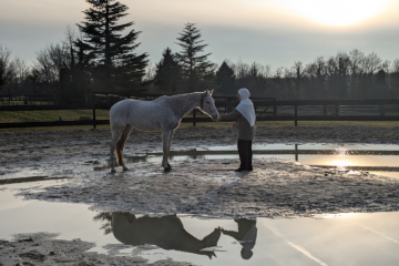 Le Moulin de Pont Rû : un havre de répit et de reconstruction pour les femmes victimes de violences