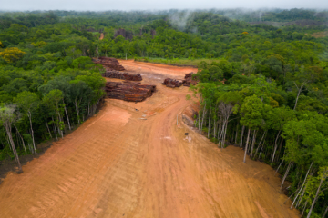 La Commission européenne propose d’assouplir le règlement anti-déforestation 