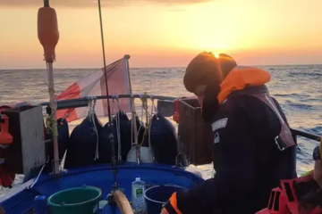 Nouvelle Vague » : cap sur l’insertion par la mer !