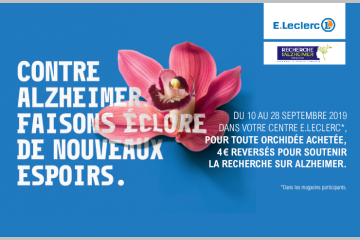 Une orchidée contre Alzheimer