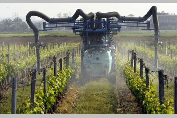 Cancers de l'enfant et pesticides : une enquête choc