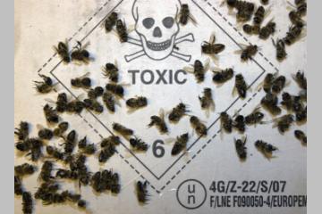 STOP aux PESTICIDES sur toutes les zones non agricoles !