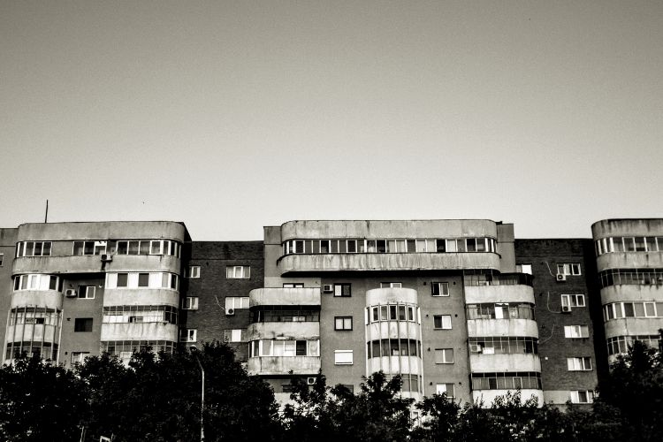 Mobilités humaines et dynamiques sociales