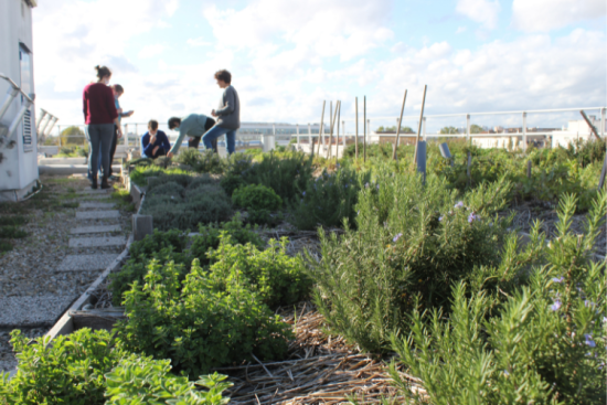 Crédits : Fondation AgroParisTech
