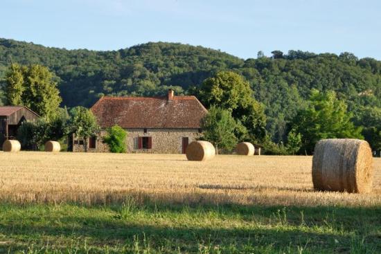 Des acteurs présents au Salon de l'agriculture affirment vouloir faire face aux défis rencontrés par l'agriculture. Crédit : iStock.