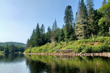 Les entreprises membres du 1 % for the planet s'engagent à donner l'équivalent d'1 % de leur chiffre d'affaires à des associations environnementales. Crédit : ACH-DP / iStock