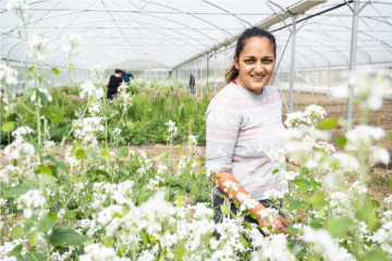 Crédit : Mary-Lou_Mauricio