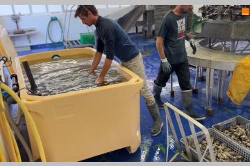 Nouvelle-Aquitaine : les associations racontent les projets soutenus par la Fondation Orange